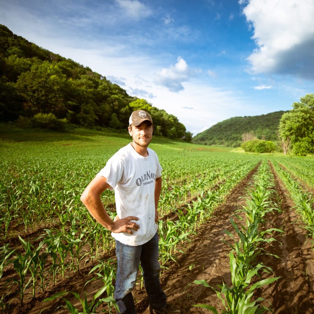 Man standing in farmed field