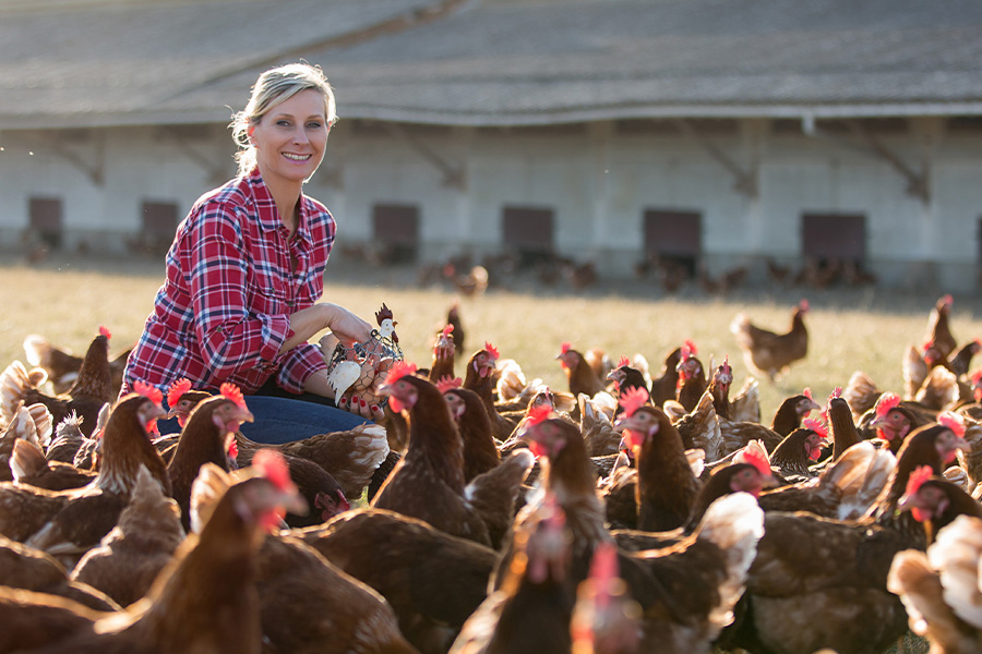 Woman with many chickens