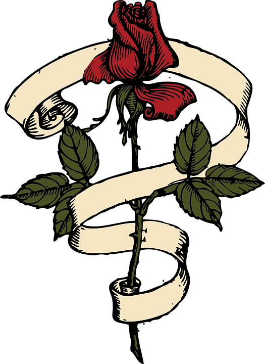 illustration of a rose with a ribbon wrapped around it