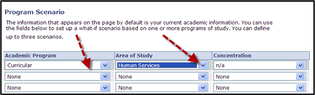 program scenario