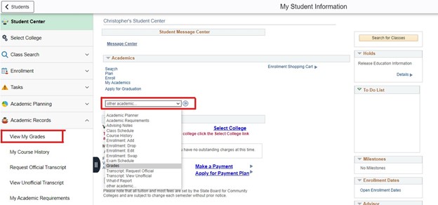 View My Grades Link