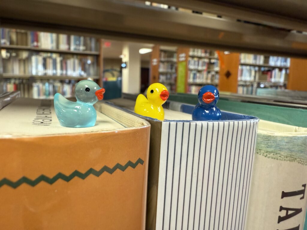 Three mini plastic ducks sitting on top of books on a shelf in the library.