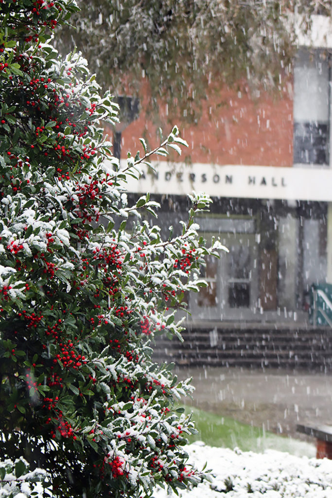 Snow tree outside of Anderson Hall