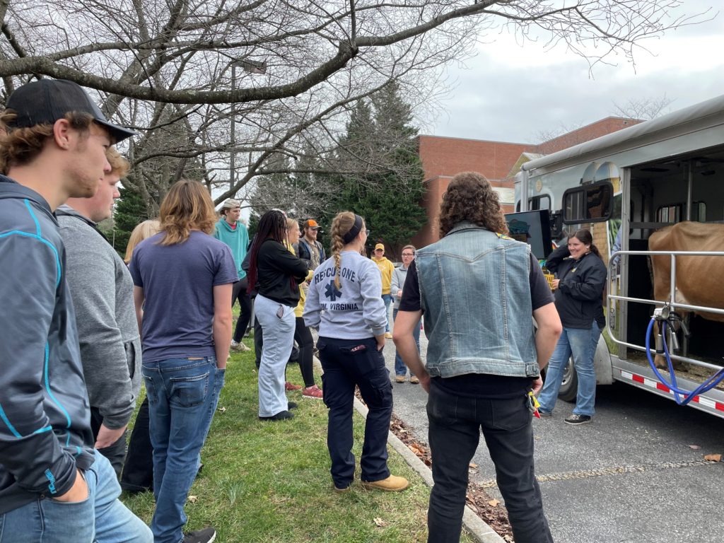 Members of Dr. Mallory White's Animal Science class visit the Mobile Dairy Classroom along with other students, faculty and staff. Morgan Cole (right) demonstrated milking with Honey, a Jersey cow, in two sessions on Thursday, Nov. 10.