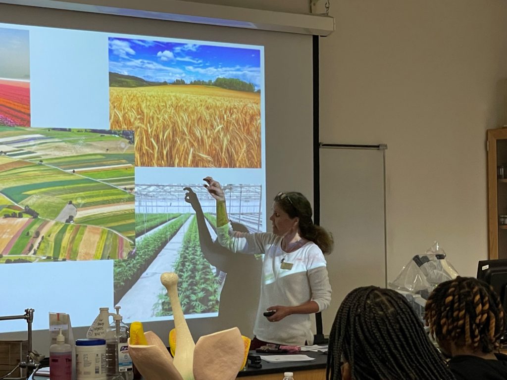 Heather Butler, Assistant Professor of Biology and Program Head of Science at Virginia Western, talks with high school students at the Earth Summit on Nov. 18 about "Planting for Pollinators." Here, Butler shows examples of the economic and ecological importance of flowering plants. 