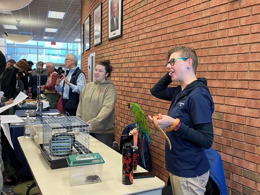 Mill Mountain Zoo Education and Conservation Manager Bambi Godkin holds Ziggy, a corn snake, during the Earth Summit.