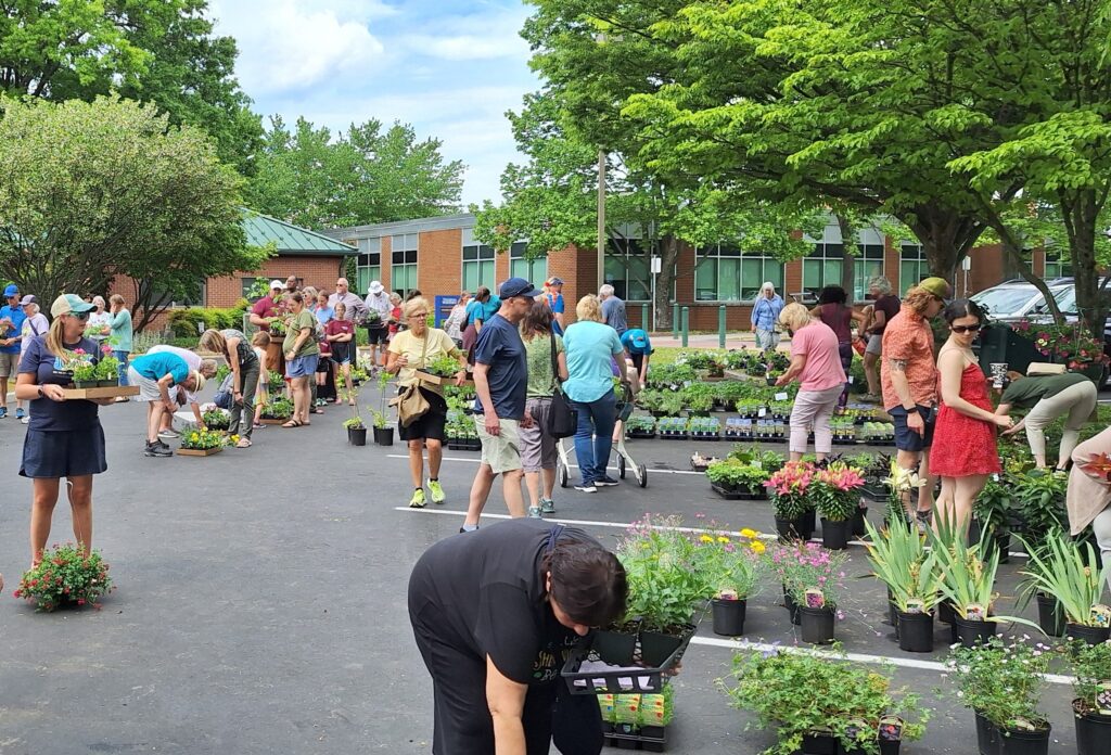 People shop at a plant sale in a parking lot.