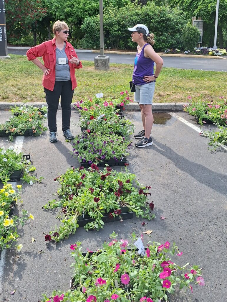 Volunteers are indispensable to the success of the plant sales as well as the general upkeep of the Arboretum.