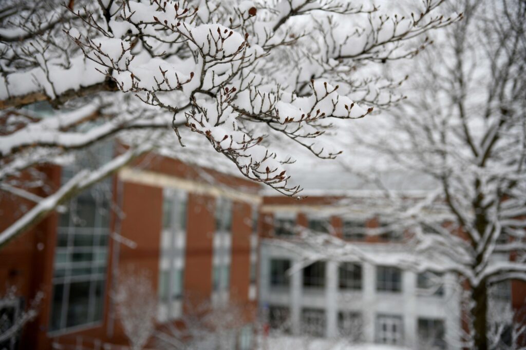 The Distinguished Alumni Award recognizes Virginia Western alumni who have achieved outstanding success and made a lasting impact on their community.