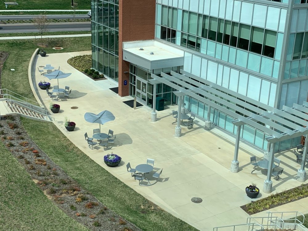Stem Patio from above