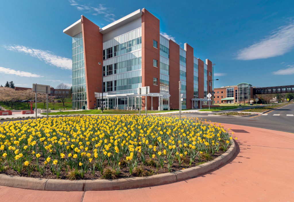 View of STEM from roundabout